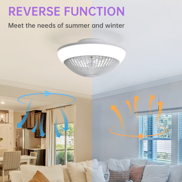 Dimmable LED Fan | LED Ceiling Fan | In My Aura