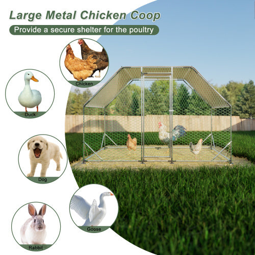 Large Chicken Coop | Outdoor Chicken Coop | In My Aura