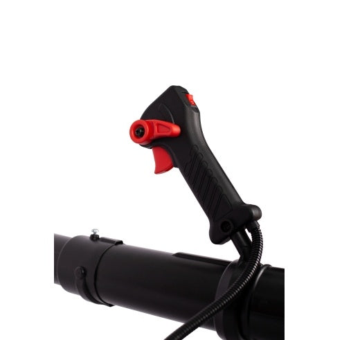 Gas Backpack Leaf Blower | Gas Backpack Blower | In My Aura